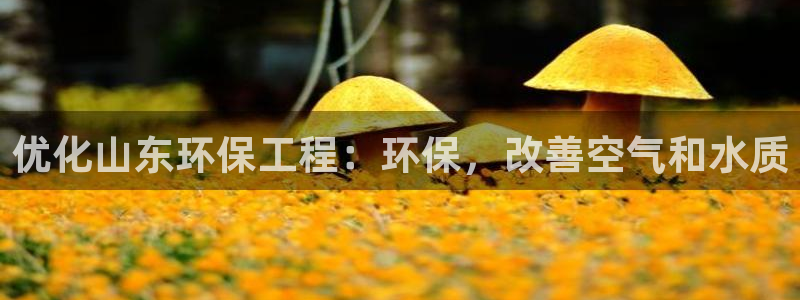 彩名堂免费计划官网怎么进不去了呀：优化山东环保工程：环保，改善空气和水质