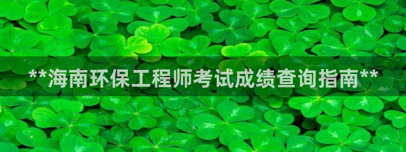 彩名堂怎么打最稳：**海南环保工程师