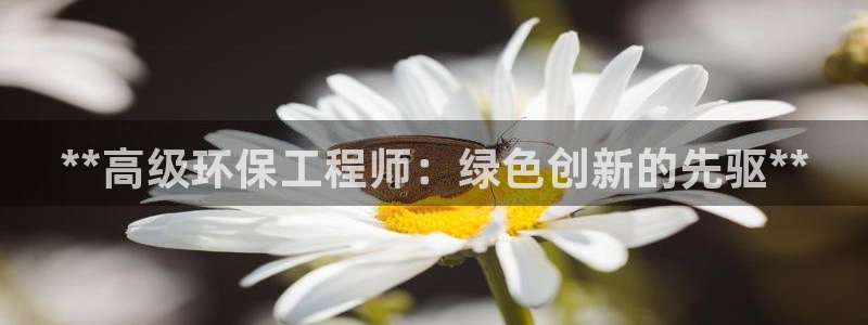 彩名堂人工计划客户端：**高级环保工
