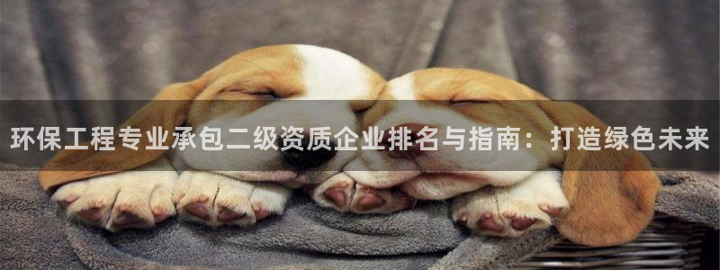 彩名堂计划技巧有哪些：环保工程专业承包二级资质企业排名与指南：打造绿色未来