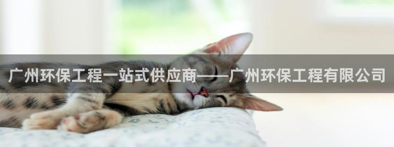 彩名堂使用方法和用量：广州环保工程一