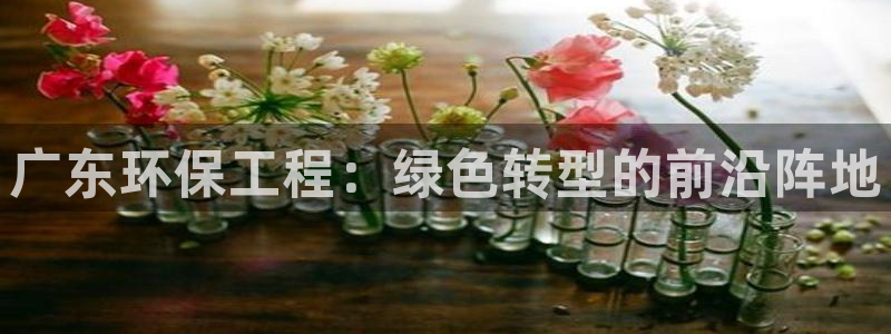 彩名堂app下载5.1.0：广东环保