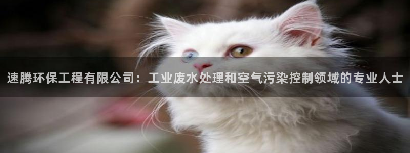 彩名堂为啥又不能用了：速腾环保工程有限公司：工业废水处理和空气污染控制领域的专业人士