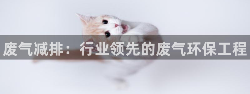 彩名堂app官方网：废气减排：行业领