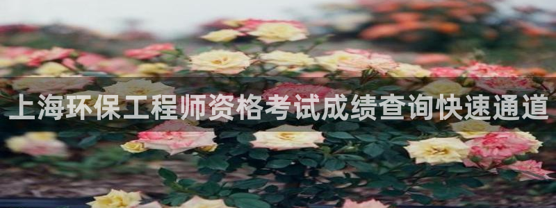 彩名堂跟哪种最好用：上海环保工程师资