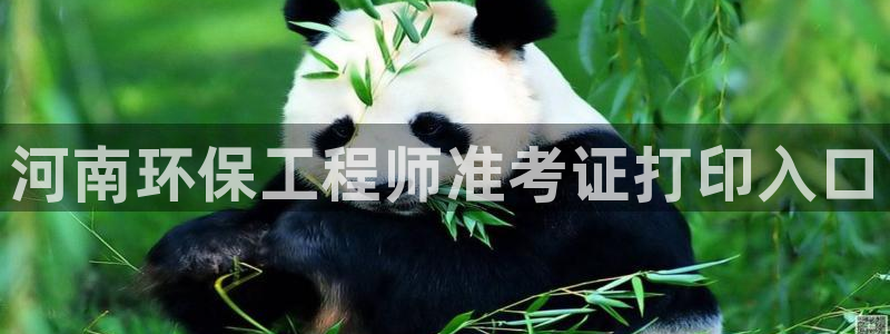 彩名堂改名稻草人了吗知乎：河南环保工