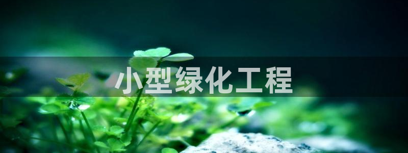 彩名堂最新预测3d：小型绿化工程