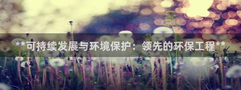彩名堂.netnet：**可持续发展
