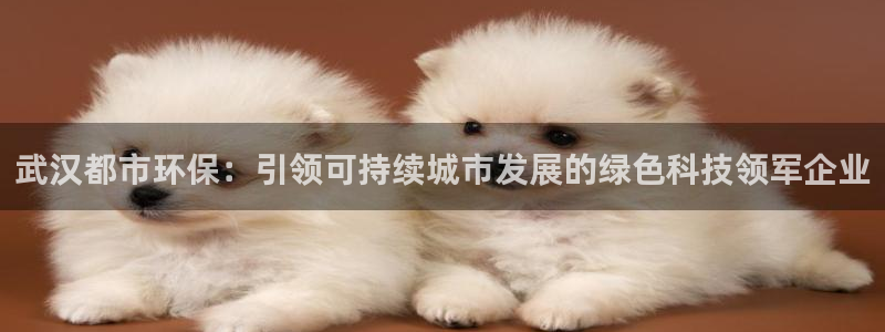 彩名堂计划官网客户端：武汉都市环保：