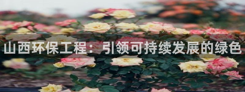 彩名堂5.0!：山西环保工程：引领可