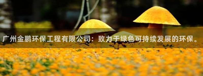 彩名堂怎么选稳定计划产品：广州金鹏环