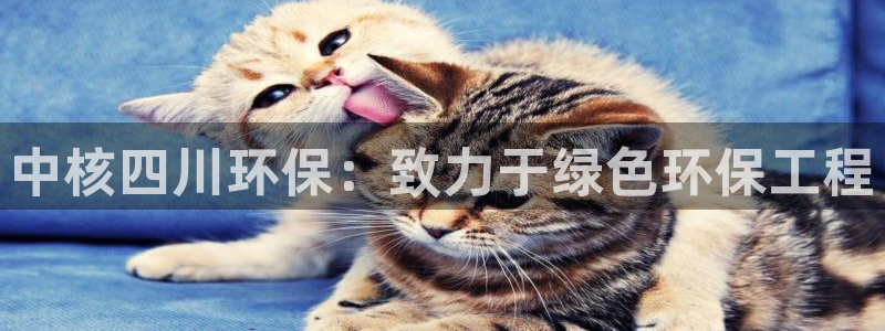 彩名堂一直不出结果怎么回事呢：中核四