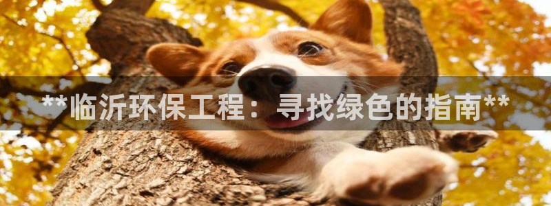 彩名堂.netnet：**临沂环保工