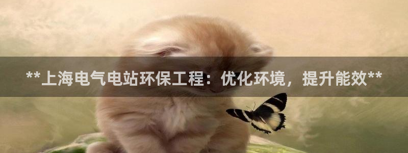 彩名堂好用还是千里马好用一点：**上