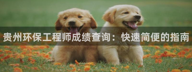 彩名堂计划app新版：贵州环保工程师