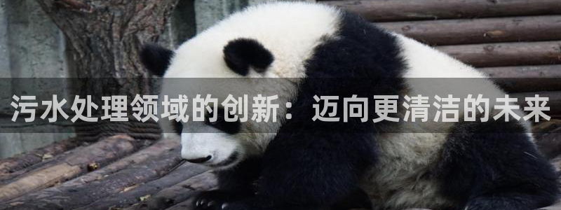 彩名堂最新免费计划官网：污水处理领域