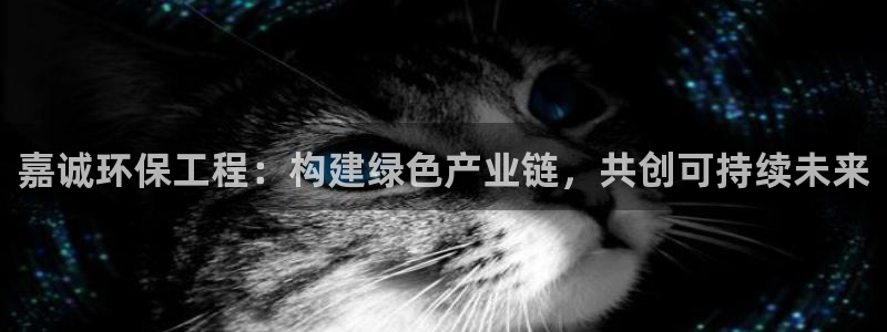 彩名堂怎么不能用了：嘉诚环保工程：构