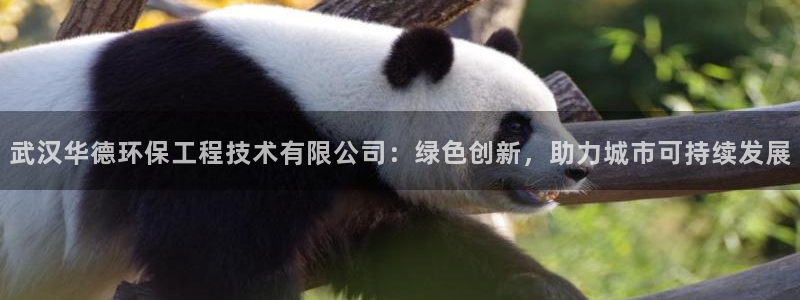 彩名堂和01计划哪个好：武汉华德环保