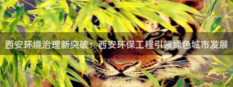 彩名堂在线下载：西安环境治理新突破：