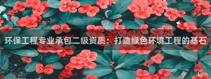 彩名堂预测软件：环保工程专业承包二级