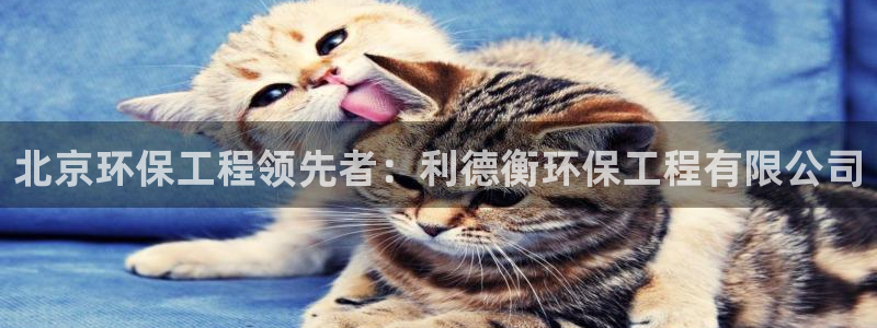 彩名堂还可以用吗：北京环保工程领先者：利德衡环保工程有限公司