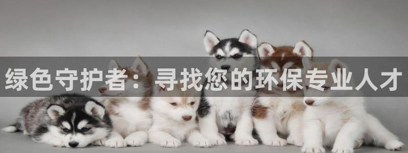 彩名堂计划技巧：绿色守护者：寻找您的环保专业人才
