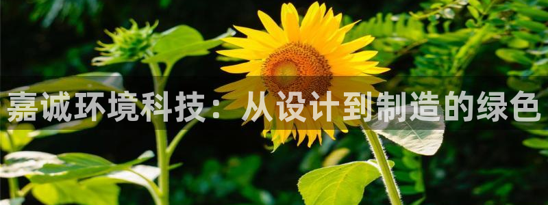 彩名堂免费计划官网怎么进不去了呀：嘉诚环境科技：从设计到制造