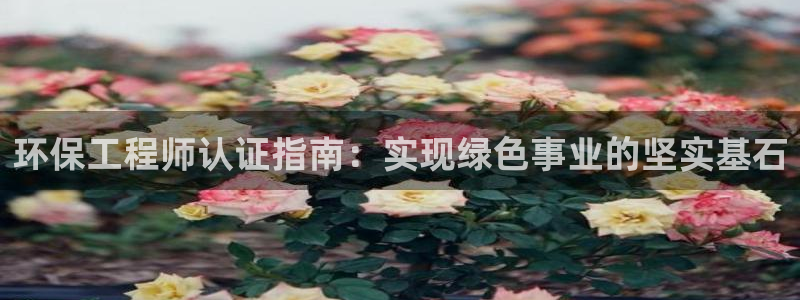 彩名堂免费计划官网5 0：环保工程师