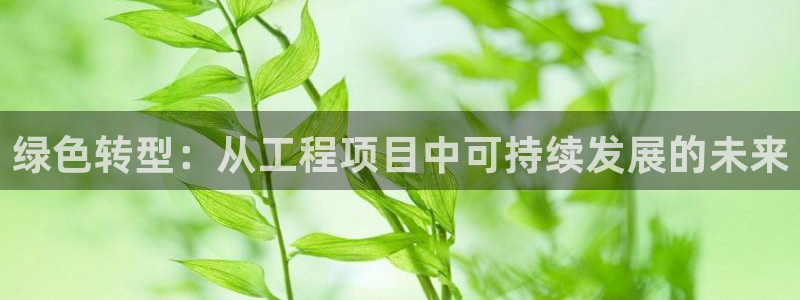 彩名堂拼音怎么拼：绿色转型：从工程项目中可持续发展的未来