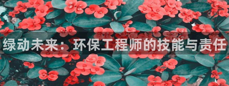 彩名堂官网2：绿动未来：环保工程师的技能与责任