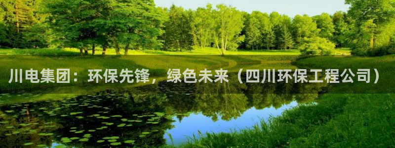 彩名堂4.3：川电集团：环保先锋，绿色未来（四川环保工程公司