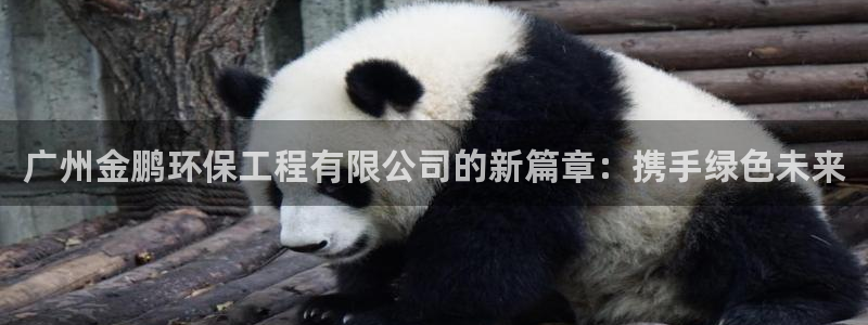 彩名堂计划怎么买胜率高：广州金鹏环保工程有限公司的新篇章：携