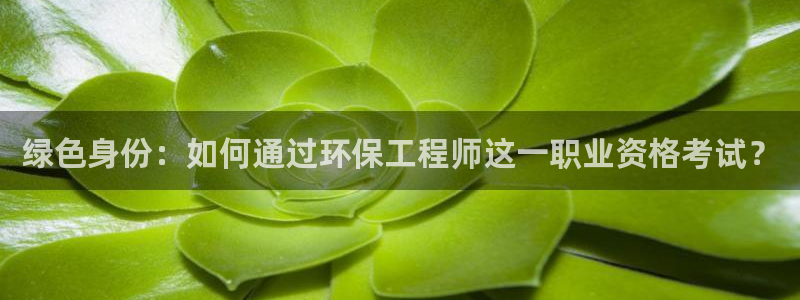 谁知道彩名堂网站是多少：绿色身份：如