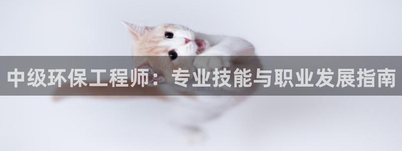 彩名堂移动客户端：中级环保工程师：专