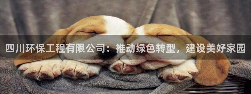 彩名堂不能用了吗：四川环保工程有限公