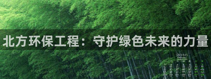 彩名堂为什么突然不能用了：北方环保工
