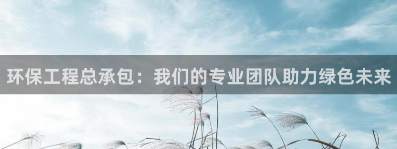 彩名堂计划怎么打不开了：环保工程总承
