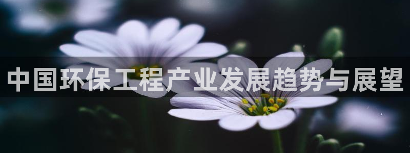 彩名堂人工计划怎么找不到下载了?：中
