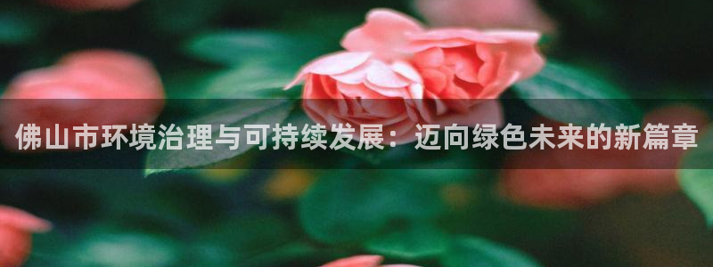 彩名堂免费计划官网5 0：佛山市环境