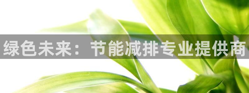 彩名堂人工预测免费计划：绿色未来：节