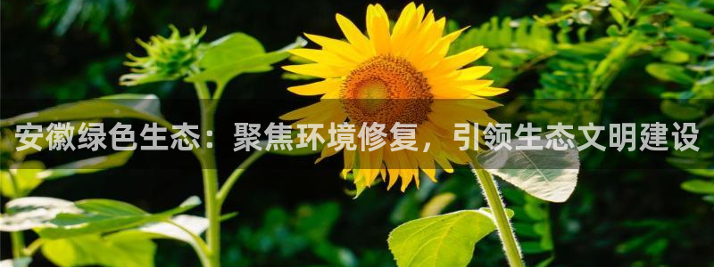 彩名堂免费计划5.0使用方法：安徽绿色生态：聚焦环境修复，引