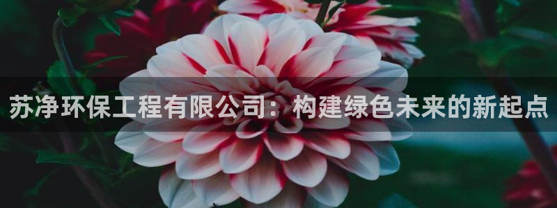 彩名堂计划技巧有哪些：苏净环保工程有限公司：构建绿色未来的新