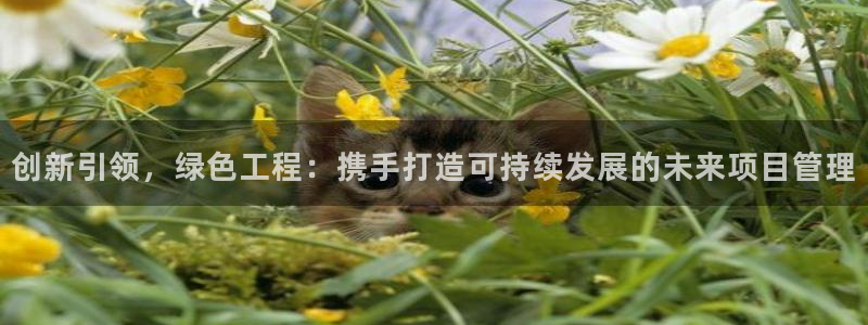彩名堂免费计划官网5.0.0：创新引领，绿色工程：携手打造可