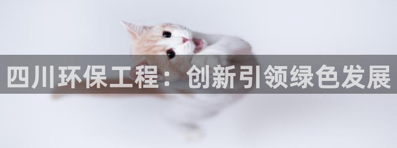 彩名堂计划怎么打不开了：四川环保工程