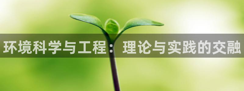 彩名堂用不了：环境科学与工程：理论与实践的交融