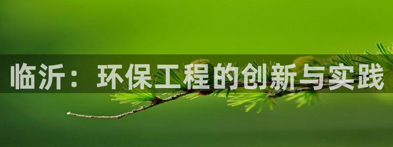 彩名堂官网计划怎么下载：临沂：环保工