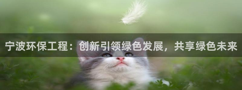 正规彩名堂官网计划01：宁波环保工程：创新引领绿色发展，共享